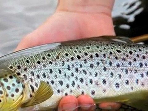 Rotorua Luxury Lodge