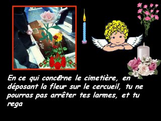 Repose en paix...Sincères condoléances-11-17-22-31_wmv
