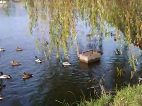 Zadanie od Paweł Soczyński