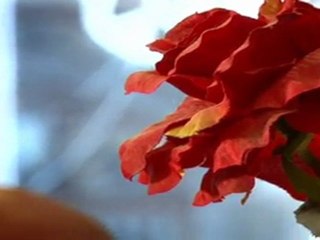 Les amants de Francfort de Michel Quint