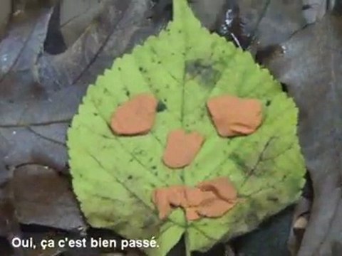 film animation feuilles d'automne