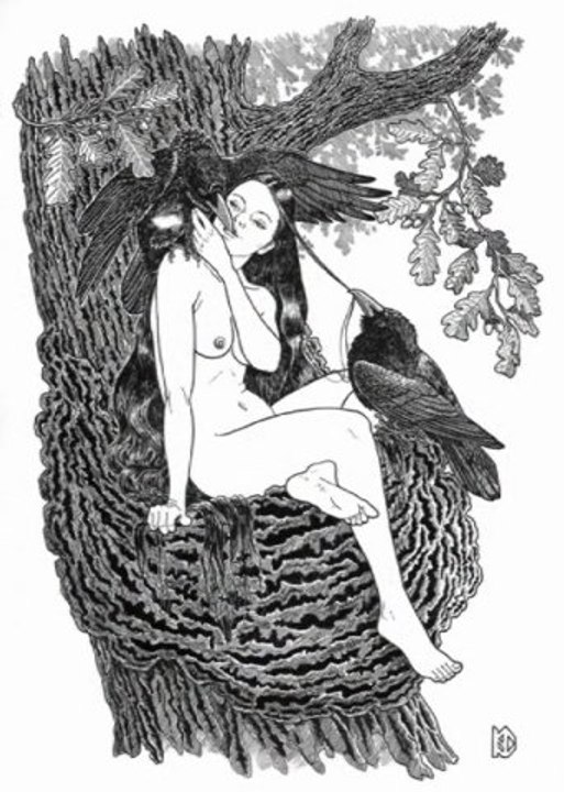 The Invocation - Pandora's Box (Original Sin)
