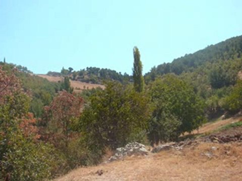 HAYDİ HALAYA SÖZ-MÜZİK: DOĞAN DOĞAN