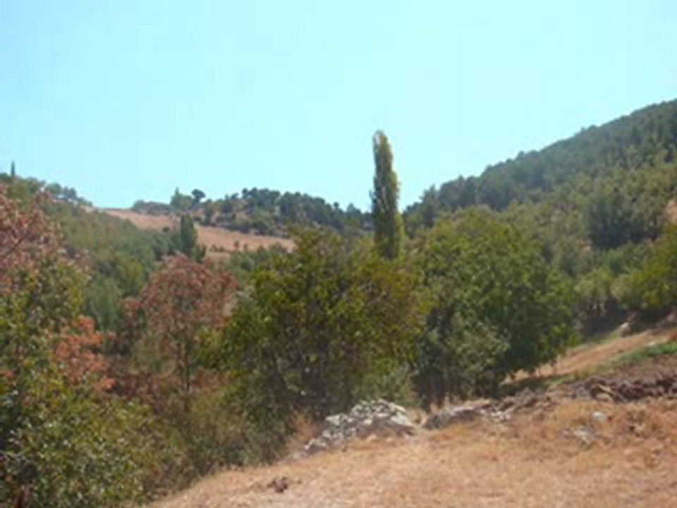 "HAYDİ HALAYA"  SÖZ-MÜZİK: DOĞAN DOĞAN