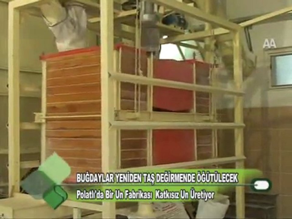 BUĞDAYLAR YENİDEN TAŞ DEĞİRMENDE ÖĞÜTÜLECEK 16 11 2011