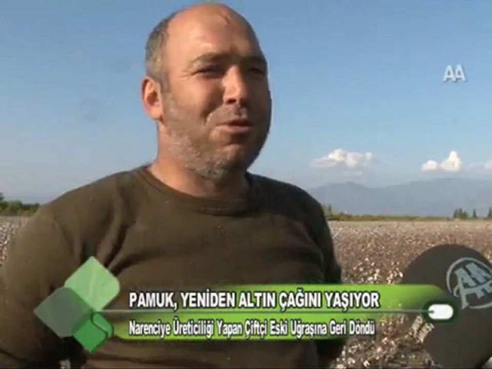 Pamuk Yeniden Altın Çağını Yaşıyor 16.11.2011