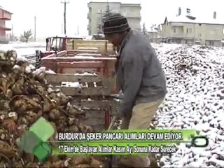 Burdurda Şeker Pancarı Alımları Devam Ediyor 17.11.2011