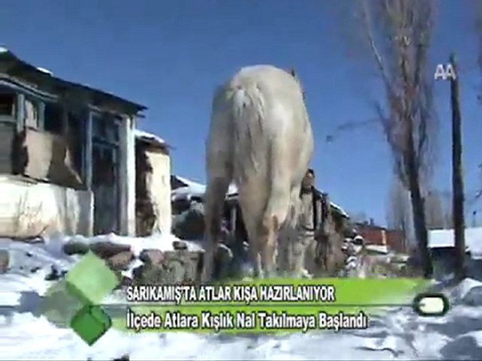 sarıkamıs at nalları 17 11 2011