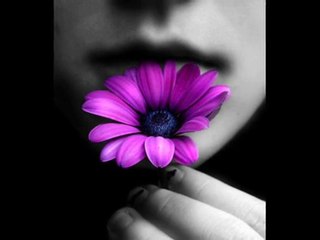 ELİF REYYA NAZ-FEYZ KARİHA     SÖYLE