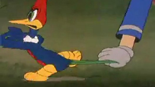 woody woodpecker the screwball