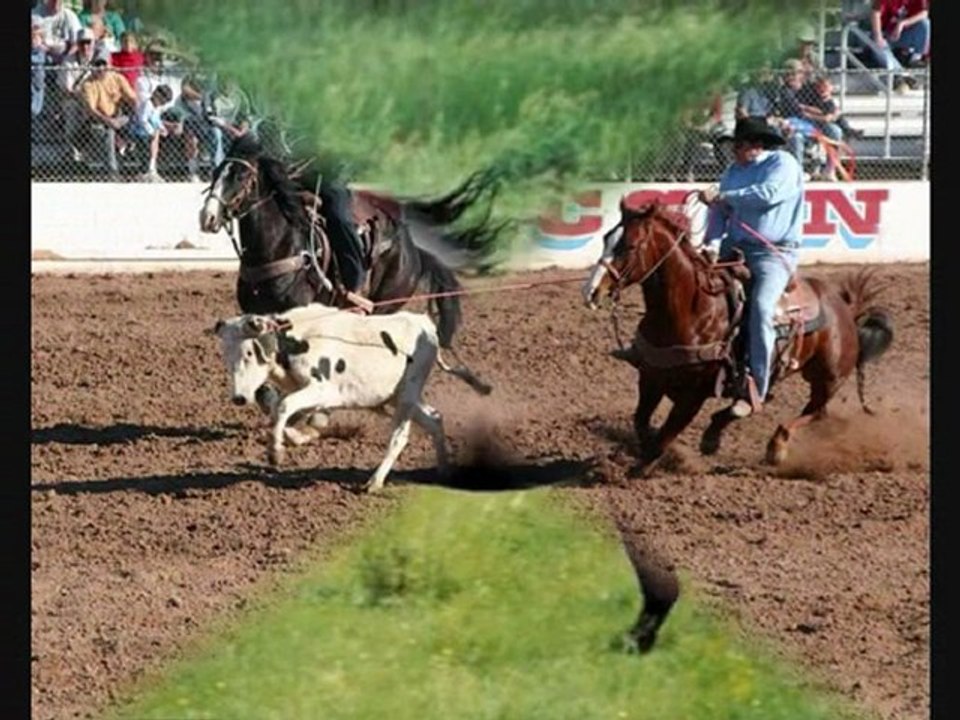 LES CHEVAUX