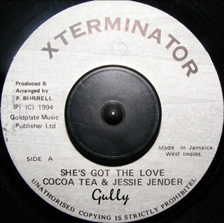 Cocoa Tea & Jessie Jender -- She's Got the Love --