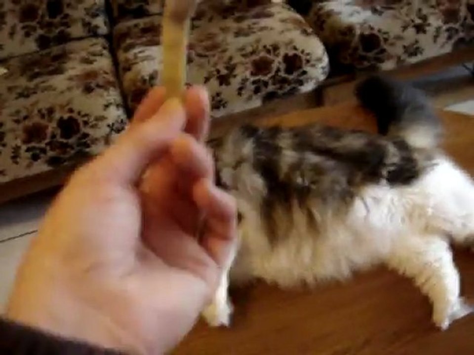 Gribouille et le petit morceau de tissus