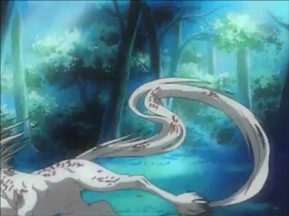 Les 12 Royaumes AMV