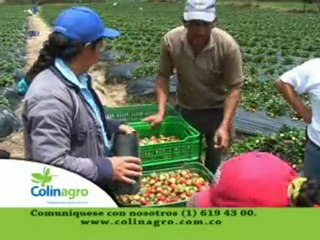 2_HACIENDA SANTA ISABEL NOVIEMBRE 19 DE 2011