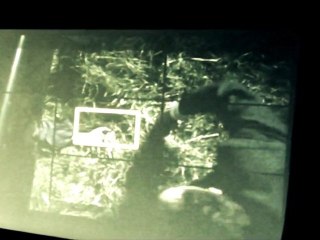 Ateliers cinéma SO FILMS TEAM TOULOUSE 2011