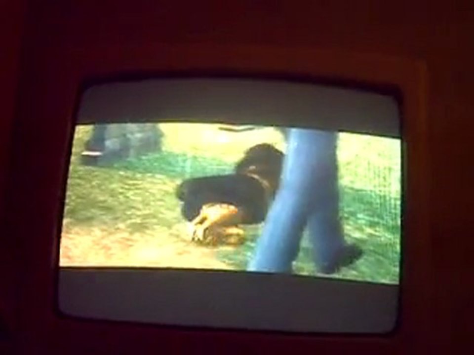 saint row 2 miss 31 Johnny ne sera plus le même part2