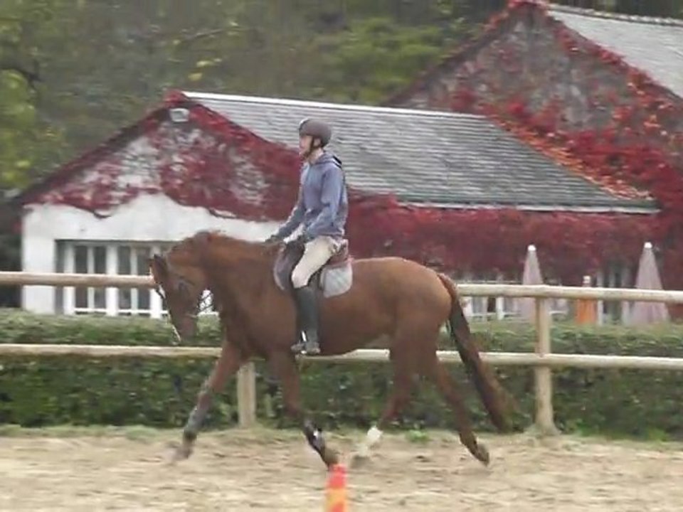 Pica trot gauche