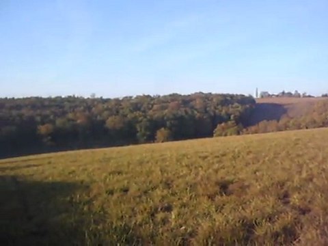 Chasse à tir au renard, dans le Gers