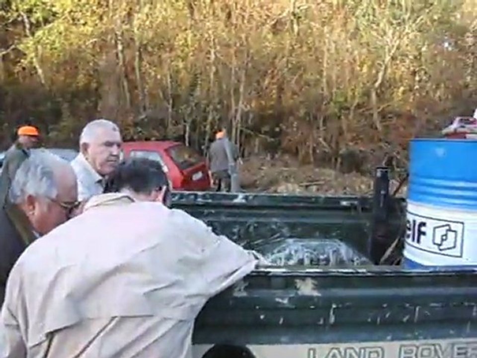 Fin de chasse au cochon sauvage (Gers)