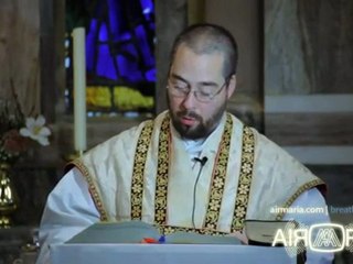 Nov 18 - Homily - Fr. Agnellus Murphy: The Church