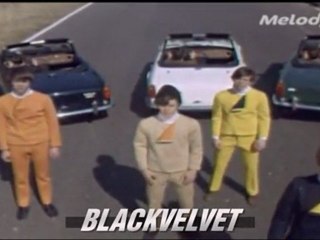 Les Irresistibles - My year is a day