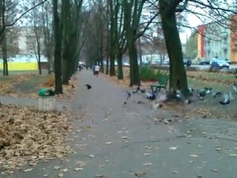 zadanie od Orange 15-11-2011