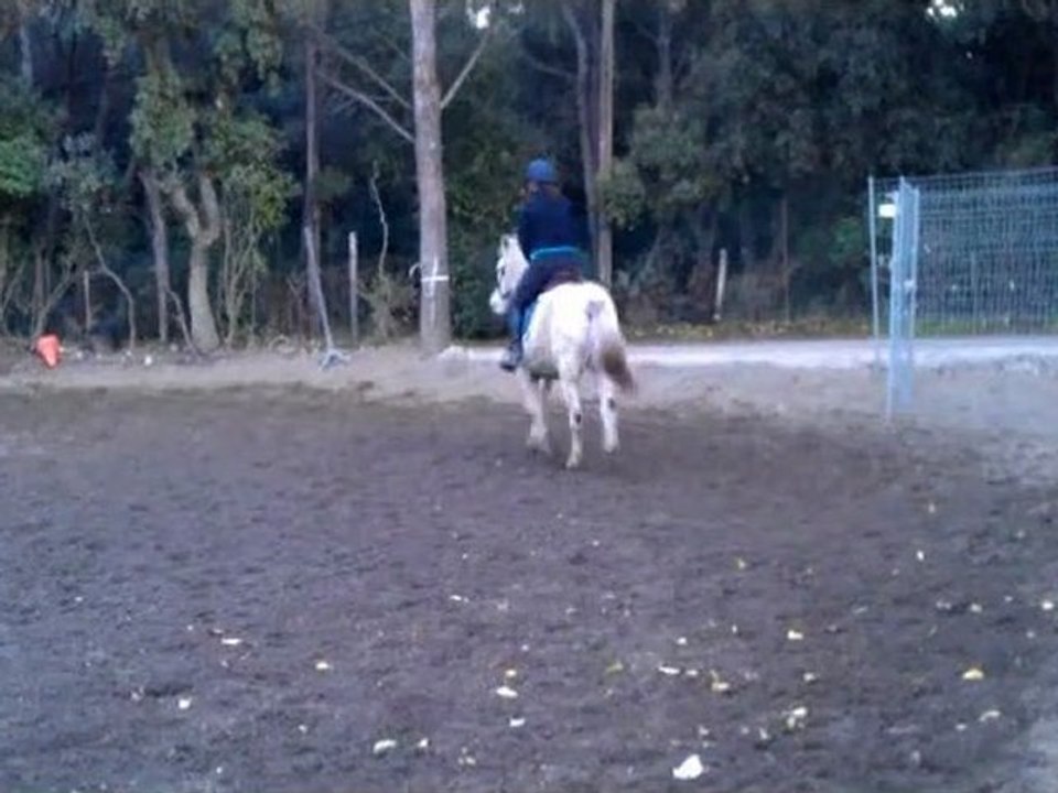 15 novembre 2011