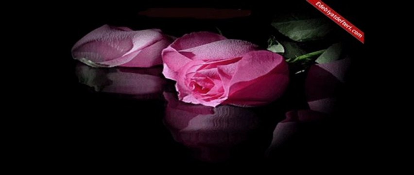 ELİF REYYA NAZ-ABDURRAHİM KAHRAMAN-SİMSİYAH SENİ DÜŞÜNÜYORUM