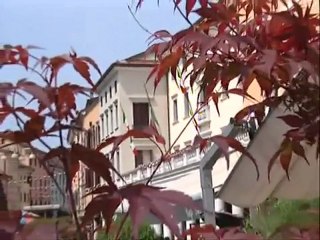 ALPINI, RADUNO AL VIA