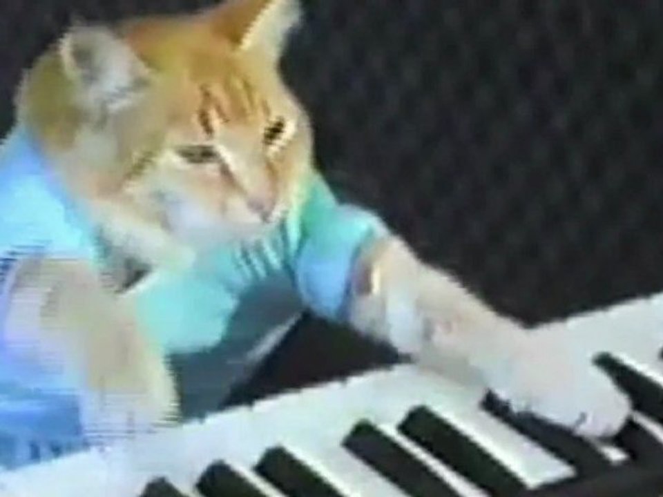 Play Him Off, Keyboard Cat! (balls)