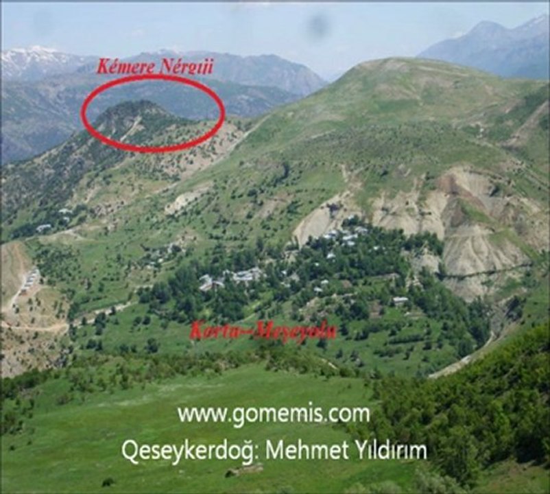 Qewga ALUnu Areyizu
