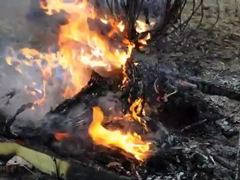 Эковахта 2.wmv