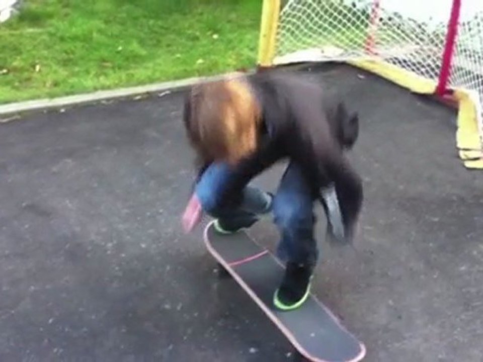 [HD] Slow Motion Skateboarding Tricks