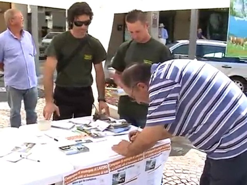 A RISCHIO 100 LAVORATORI FORESTALI