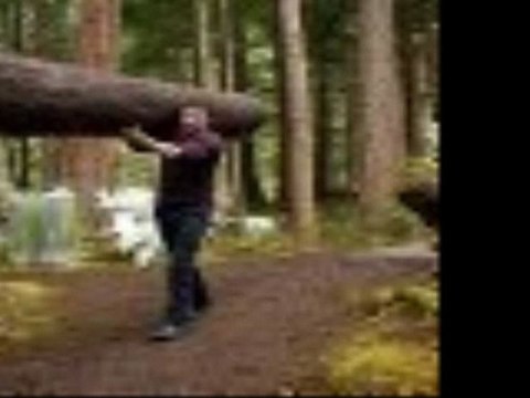 The Twilight Saga Breaking Dawn Part 1a89