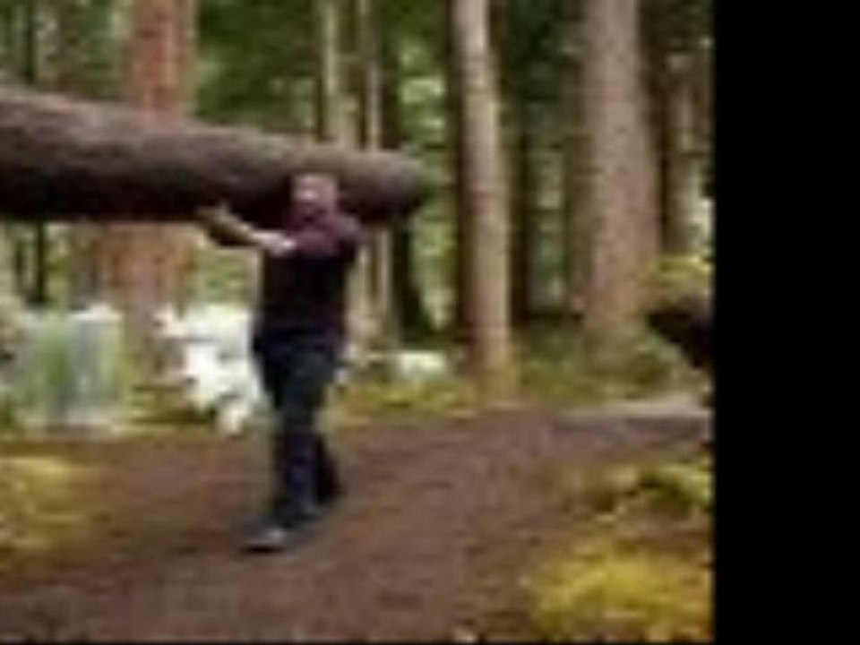 The Twilight Saga Breaking Dawn Part 1a89