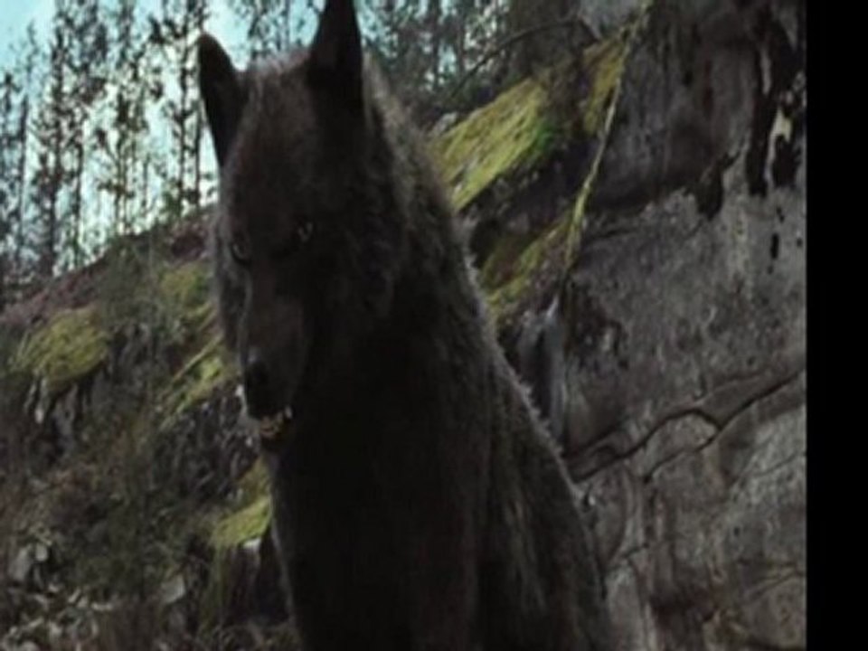 The Twilight Saga Breaking Dawn Part 1a443