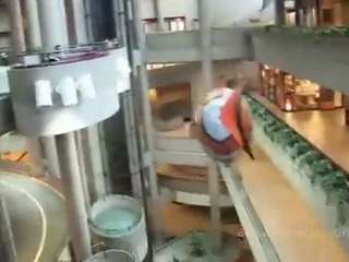 Air Swimmer Inflatable Floating Shark with Remote Controller only $32.99 + freeshipping