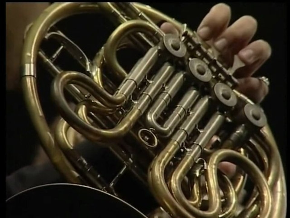 MUSICA PER IL CRO