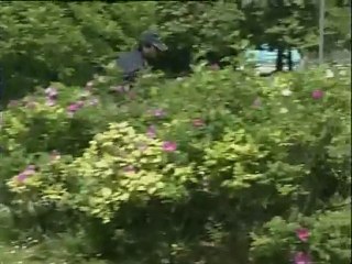 PRESI SPACCIATORI IN CAMPO MARZIO