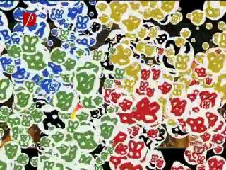 Miss fata de la tara sezon 3 episod 7 P2