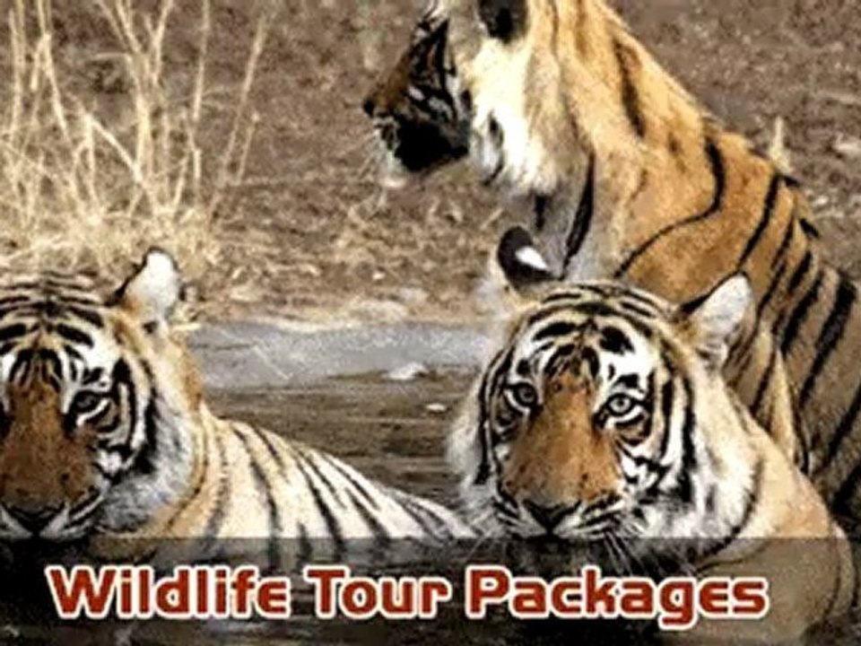 Rajasthan Tour Packages,Taj Mahal Tour Packages