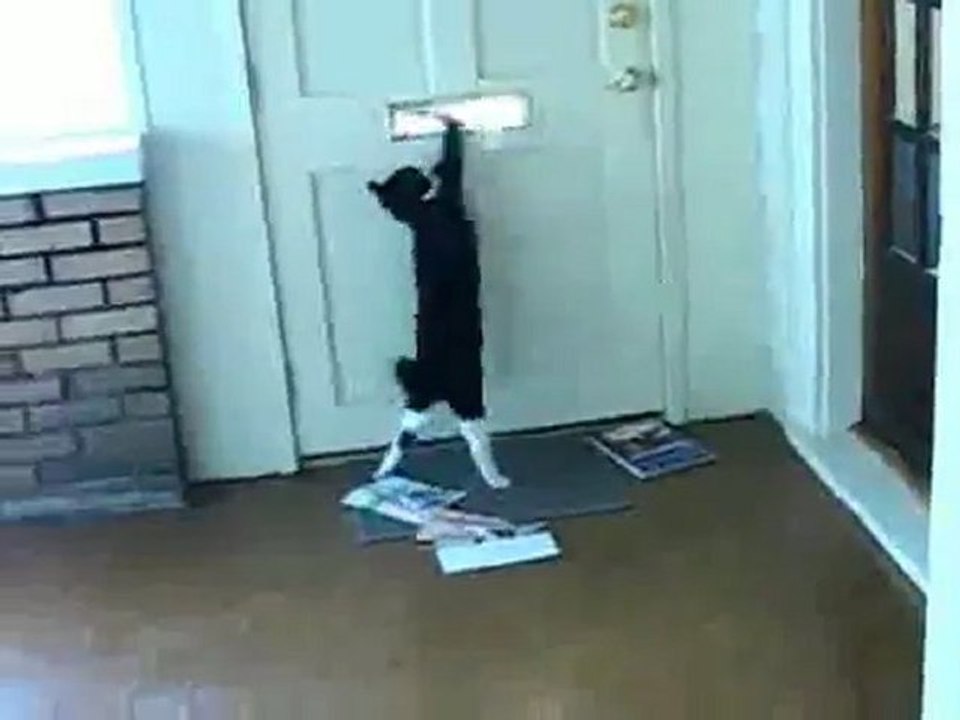 WhyEmailWasInvented