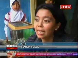 Aita,Iboy pemilk toke unik