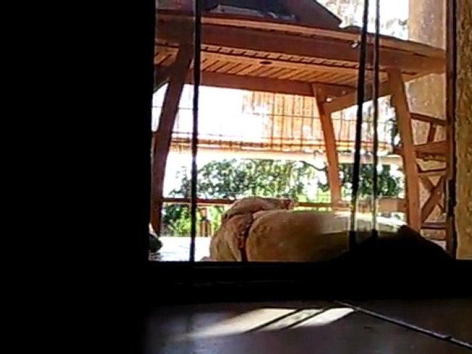 Vidéo0028