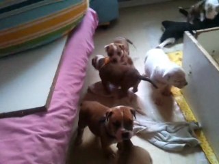 video-2011-11-19-09-51-57