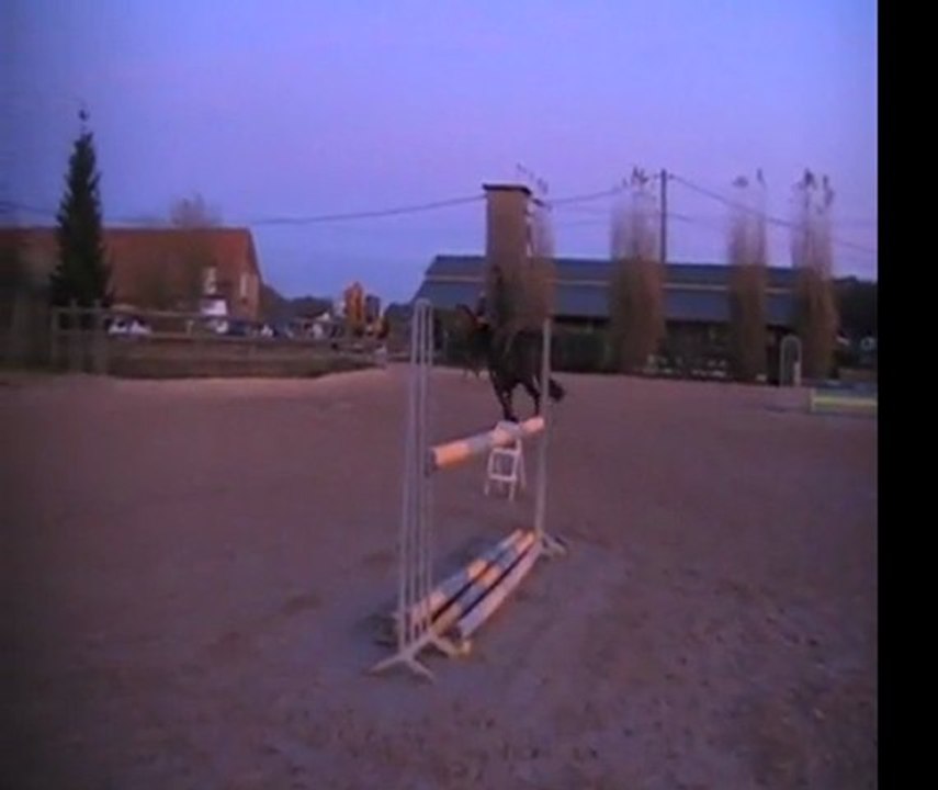 Amiro Nov2011