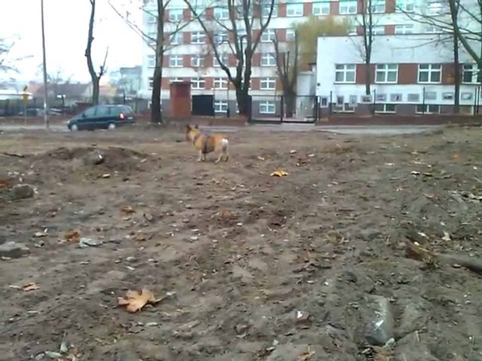 WP_20111119_074120Z