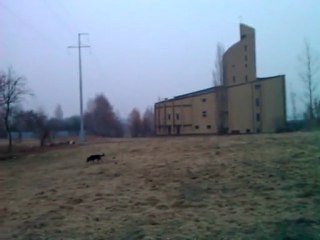 HTC 7 Mozart - pierwszy film